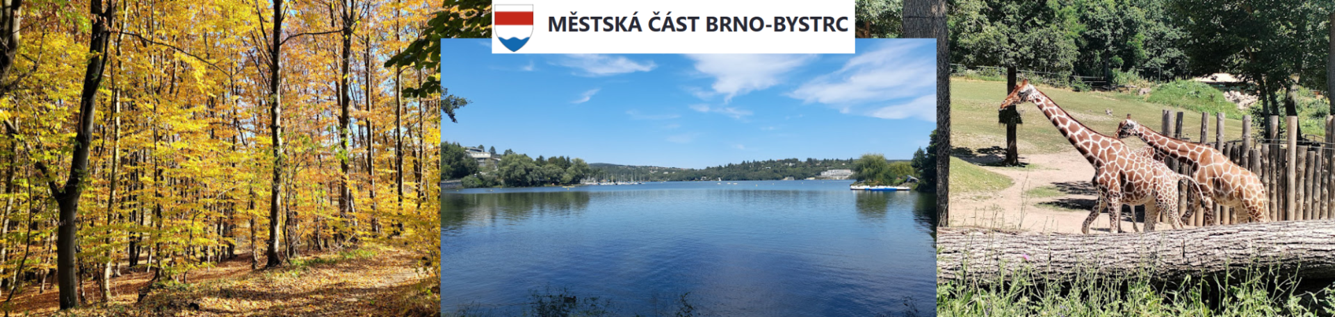 Bystrc