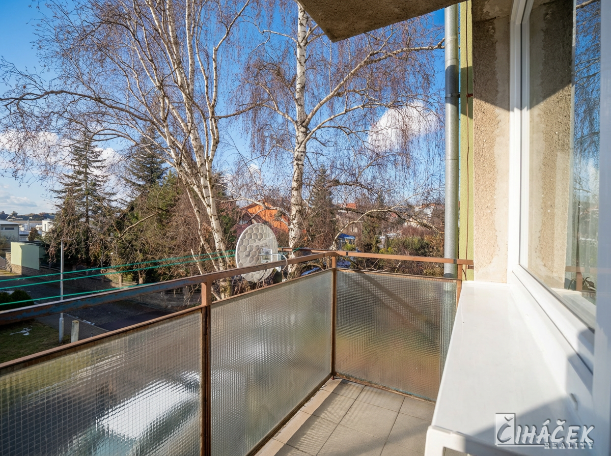 Zelesice_pronajem_31-_Zdenek_Cihacek-01_1